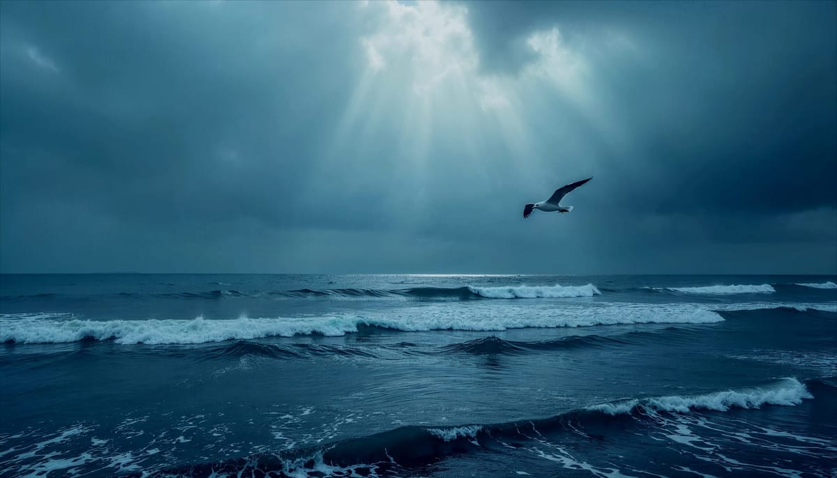 在波涛中，寻找文明的回响