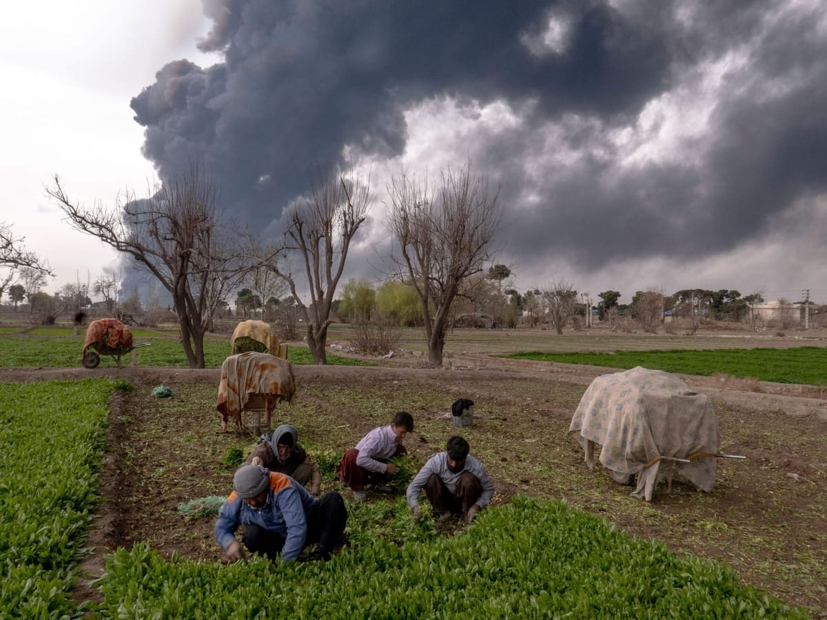 伊朗战争，又一个告别石油的理由