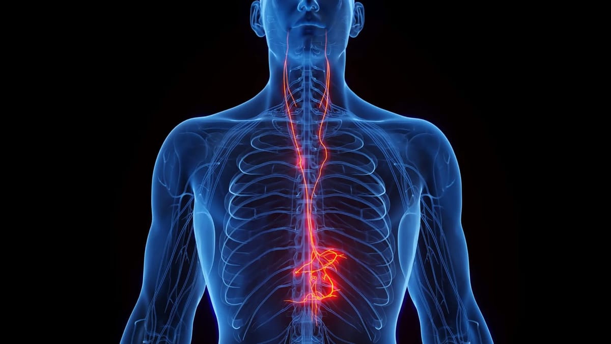 迷走神经刺激或成对抗阿尔茨海默病的新希望