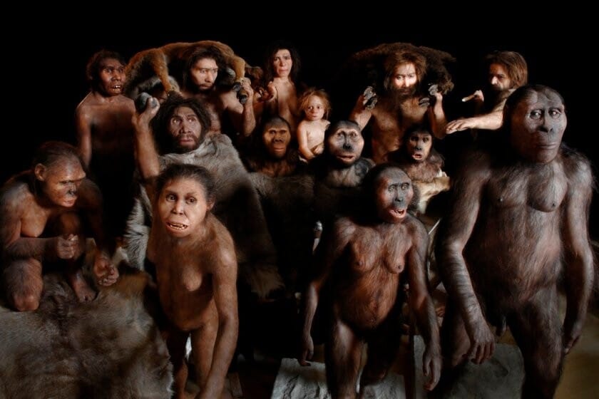 人类演化的 8500 万年漫长历程