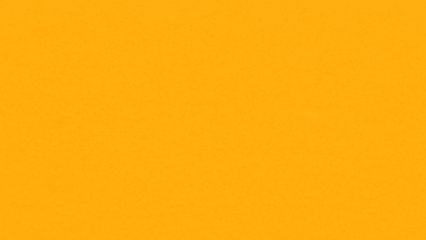 佐兰·曼达尼：无处不在的纽约市长