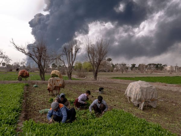 伊朗战争，又一个告别石油的理由