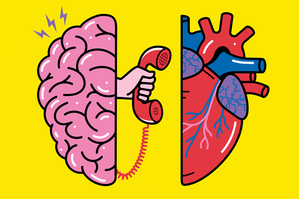 心脑连接对健康的深远影响