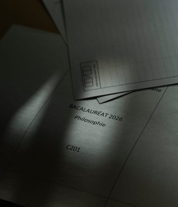 这一切意味着什么？一年一度，法国学生尝试给出解释。